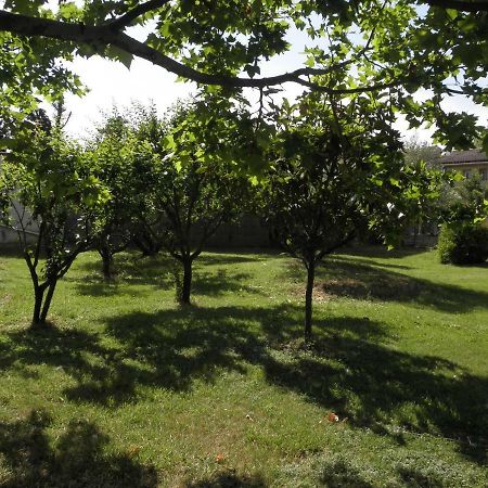 Provence Roulottes Hotel Barbentane Kültér fotó